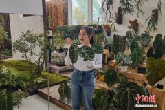 浙江省农创客超10万名 呈现三方面群体特征